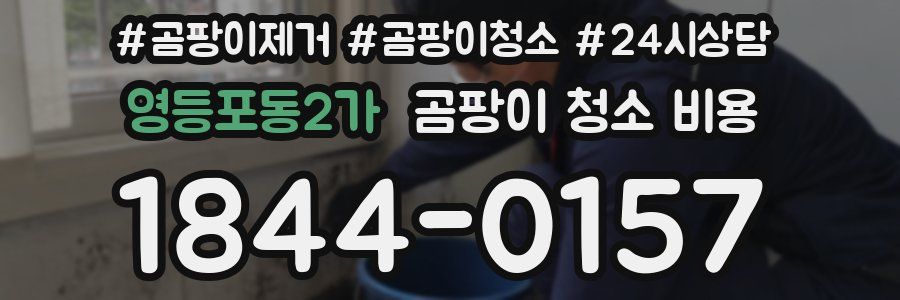 영등포동2가 곰팡이 청소 비용