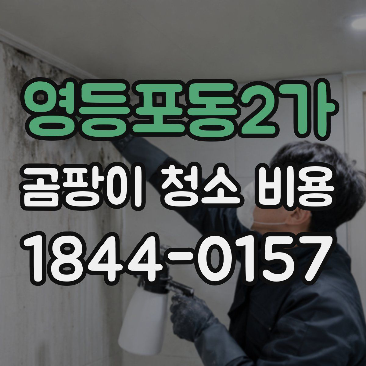 영등포동2가 곰팡이 청소 비용