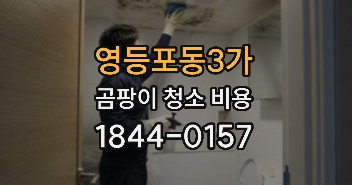 영등포동3가 곰팡이 청소 비용