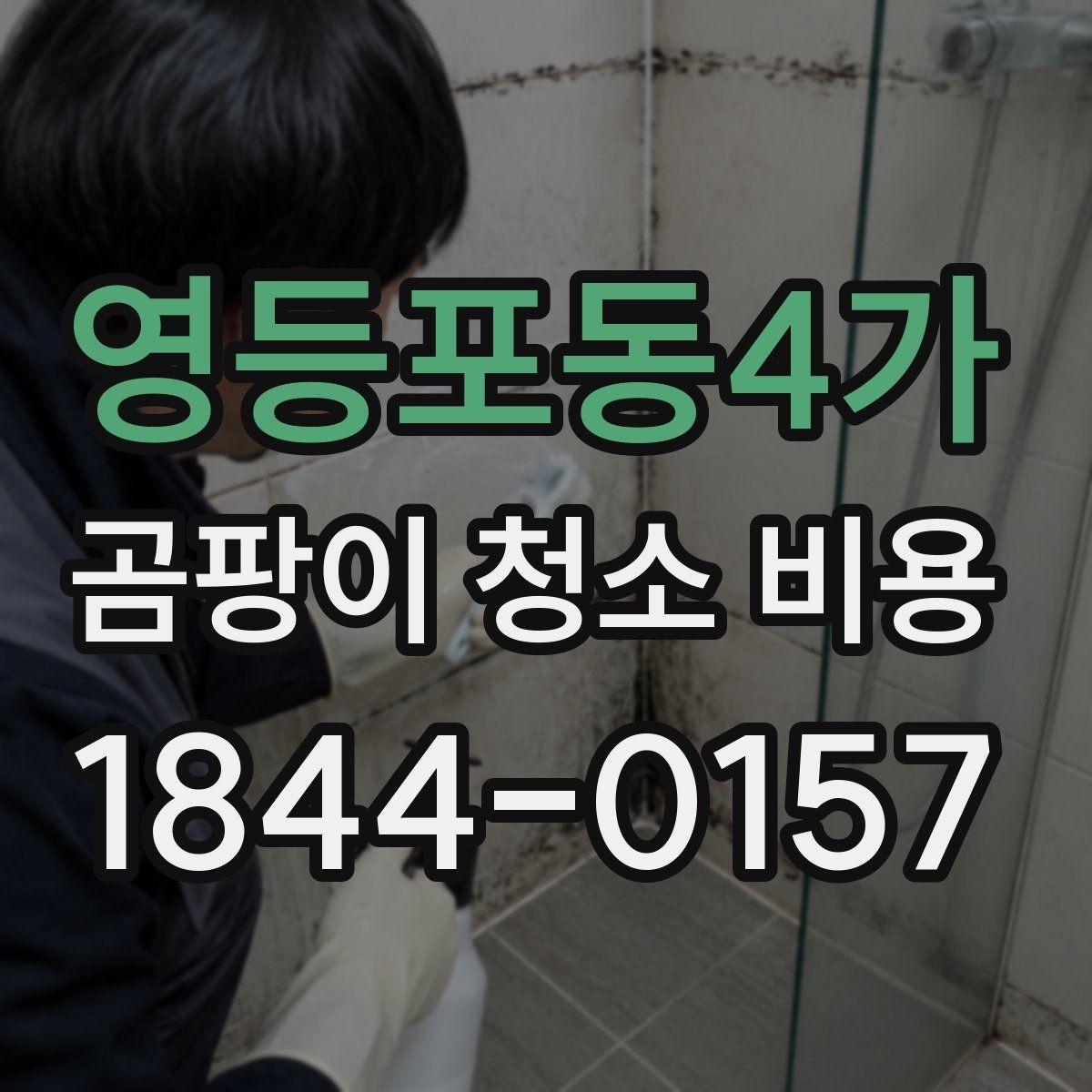 영등포동4가 곰팡이 청소 비용 집안 습기 원인까지 함께 확인하는 이유