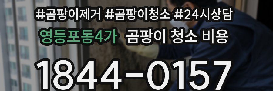 영등포동4가 곰팡이 청소 비용