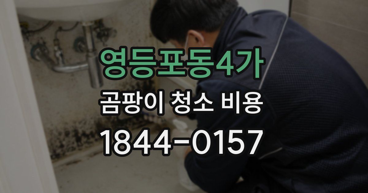 영등포동4가 곰팡이 청소 비용