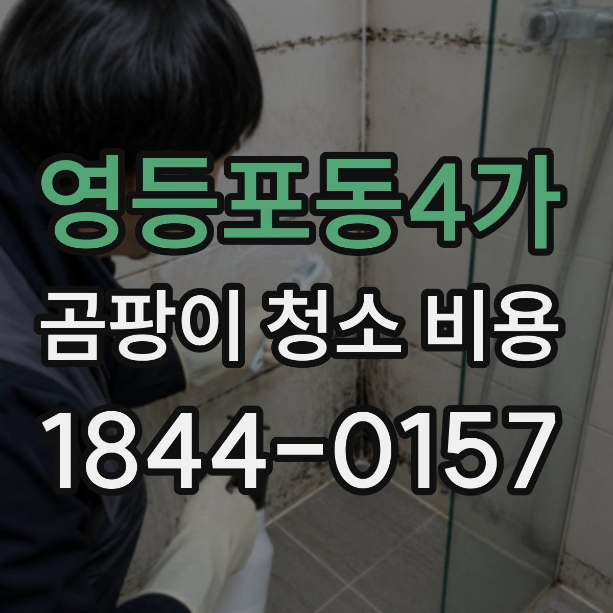 영등포동4가 곰팡이 청소 비용