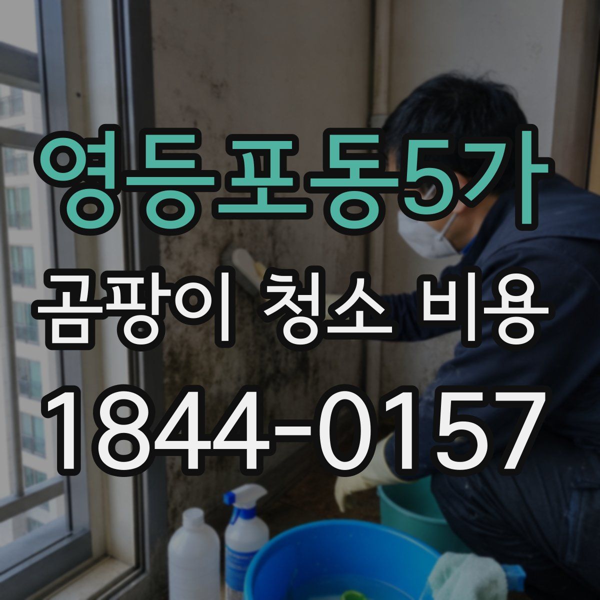 영등포동5가 곰팡이 청소 비용