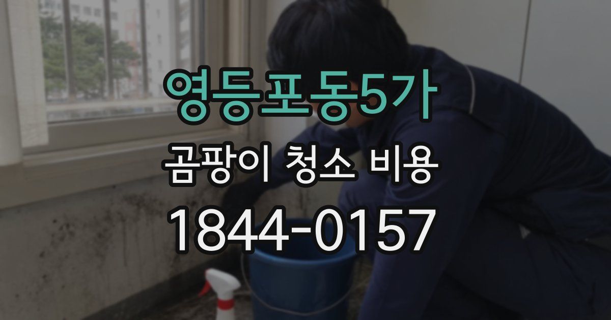 영등포동5가 곰팡이 청소 비용