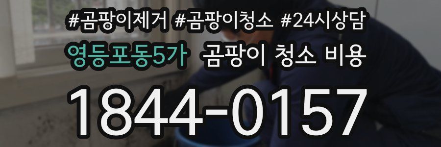영등포동5가 곰팡이 청소 비용