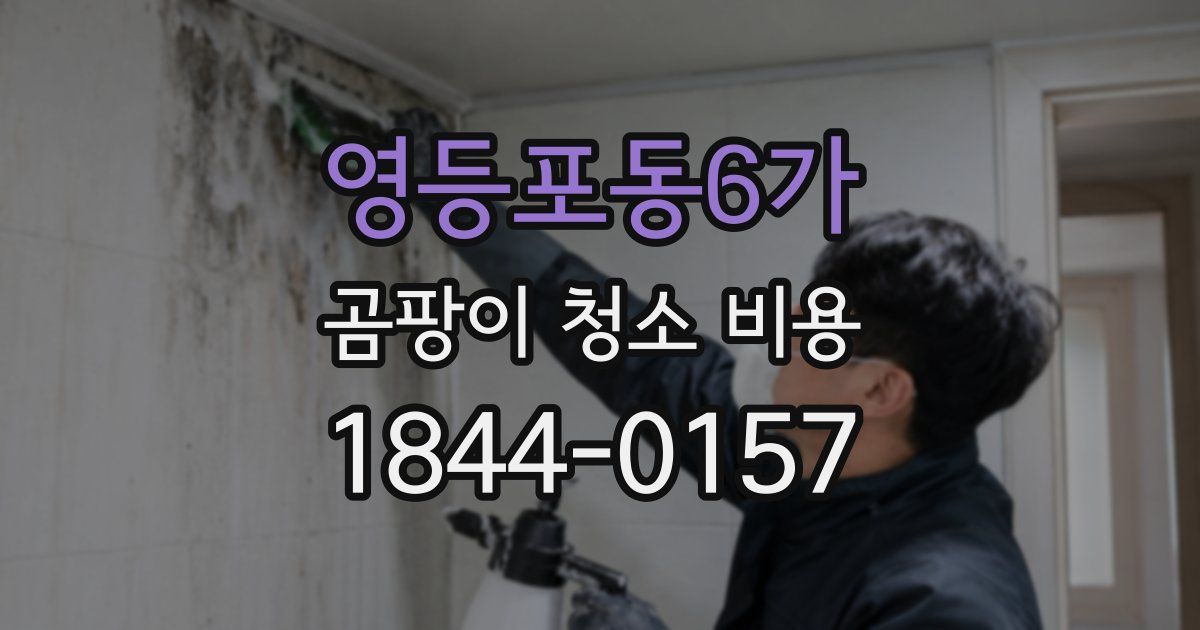 영등포동6가 곰팡이 청소 비용
