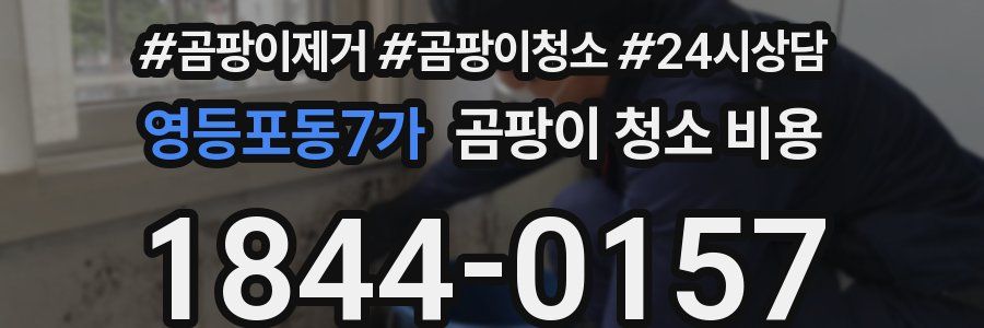 영등포동7가 곰팡이 청소 비용