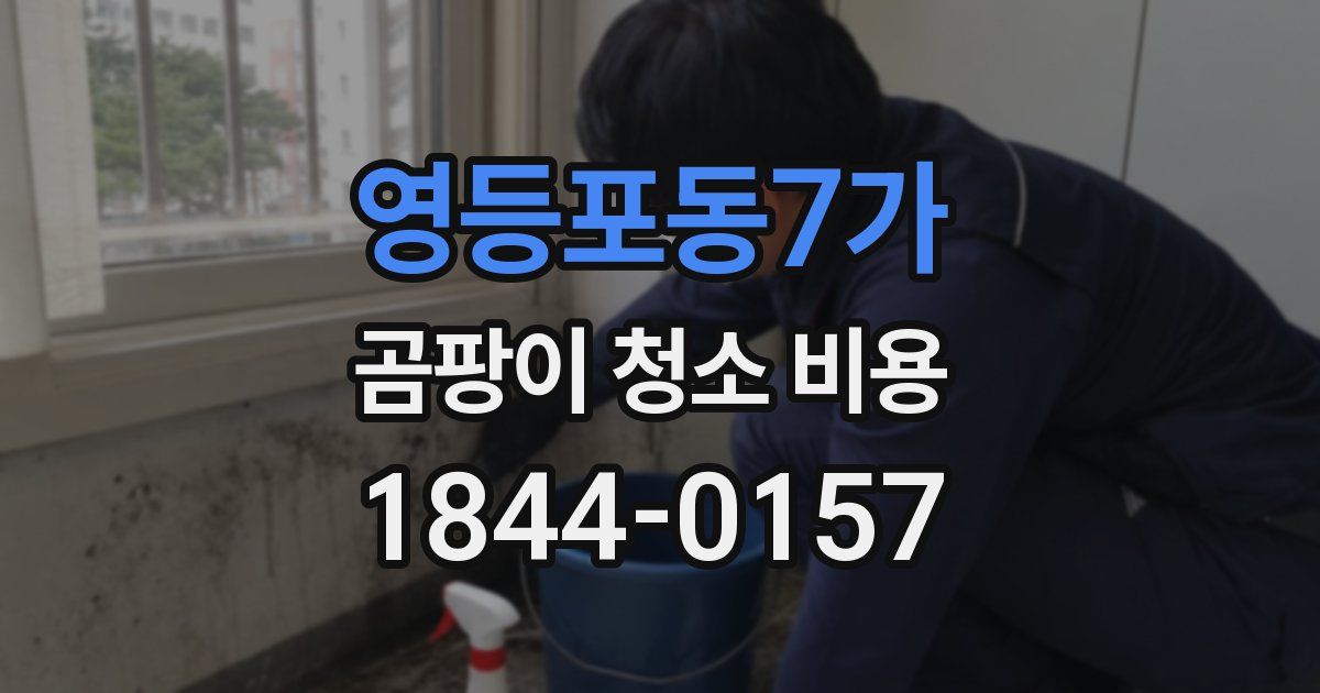 영등포동7가 곰팡이 청소 비용