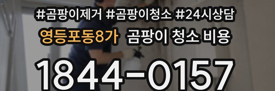 영등포동8가 곰팡이 청소 비용