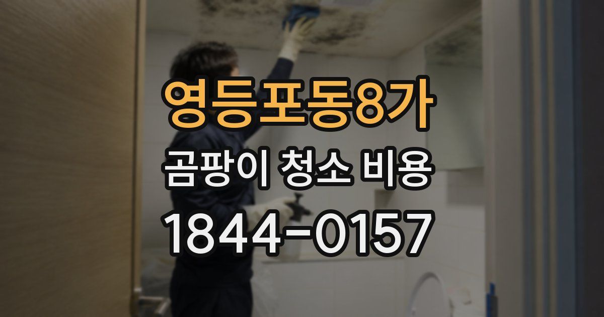 영등포동8가 곰팡이 청소 비용