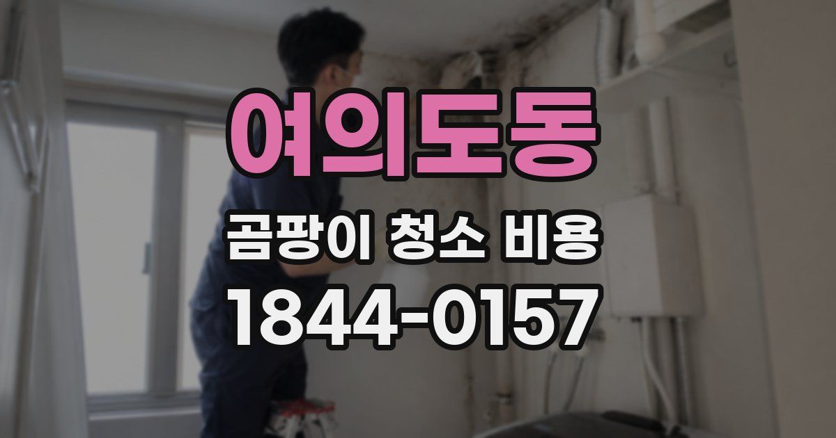 여의도동 곰팡이 청소 비용