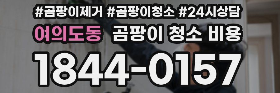 여의도동 곰팡이 청소 비용