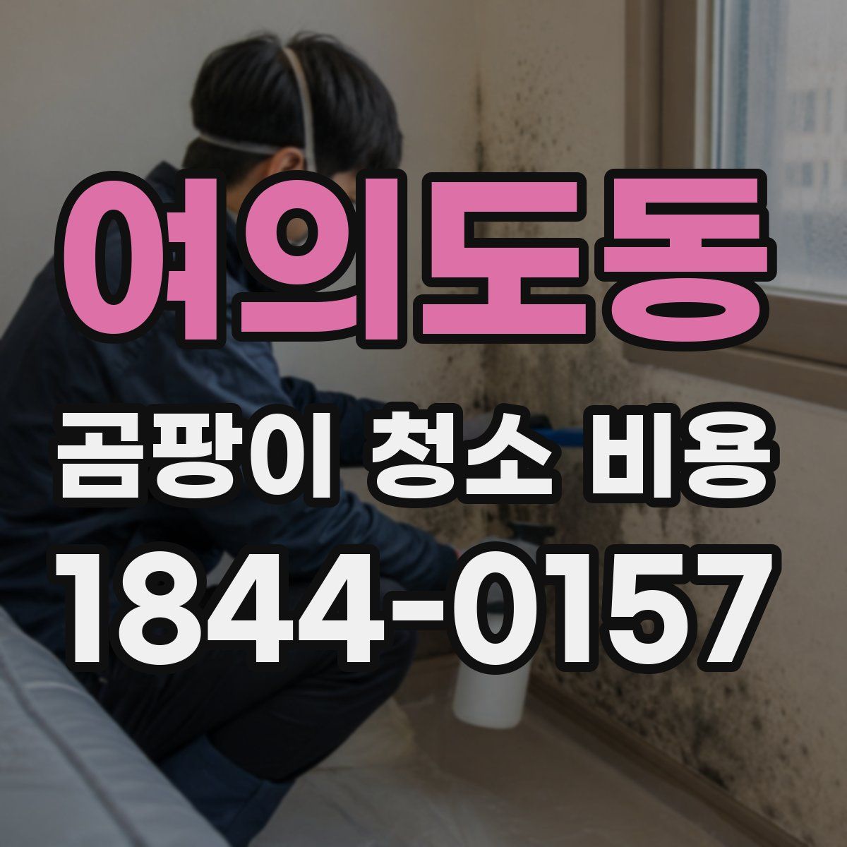 여의도동 곰팡이 청소 비용
