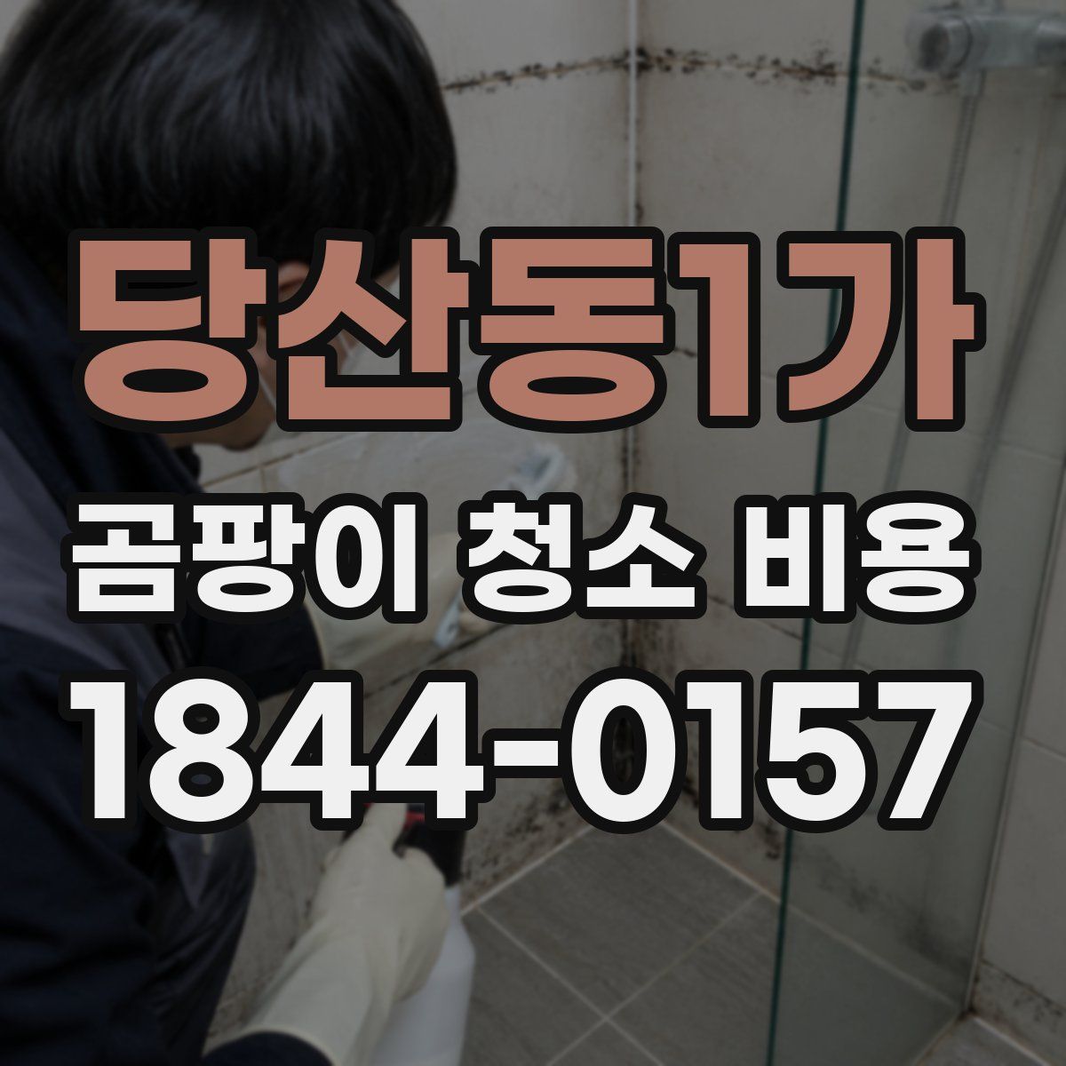당산동1가 곰팡이 청소 비용