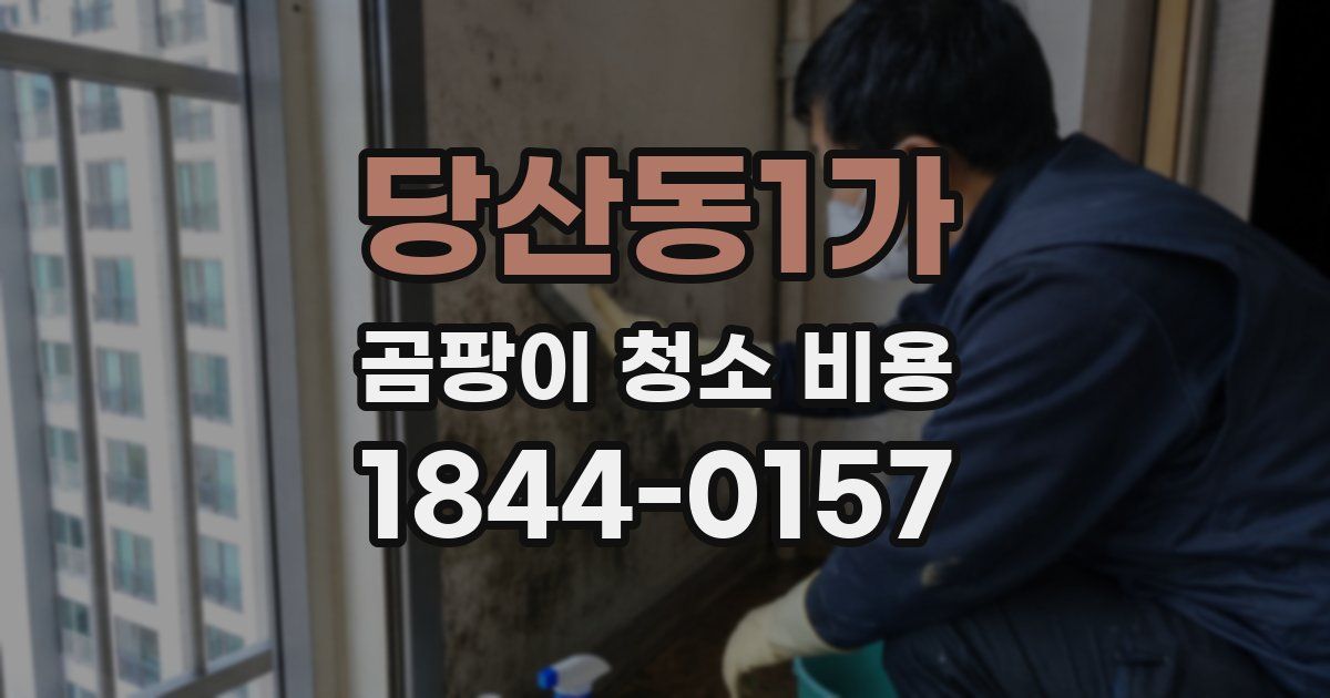 당산동1가 곰팡이 청소 비용