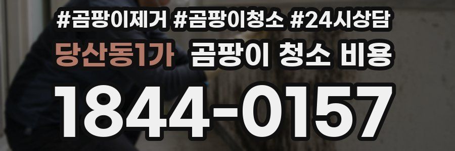 당산동1가 곰팡이 청소 비용