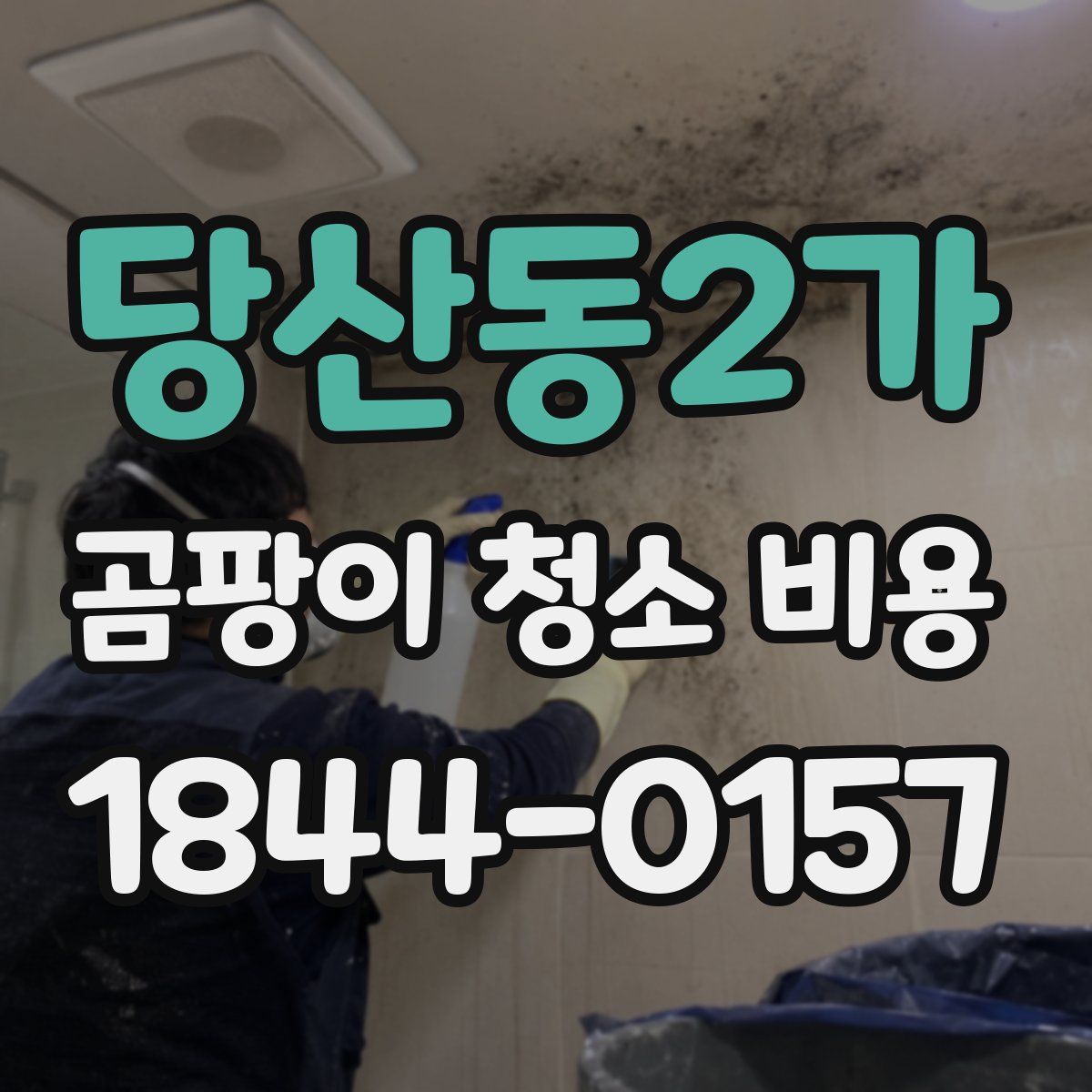 당산동2가 곰팡이 청소 비용
