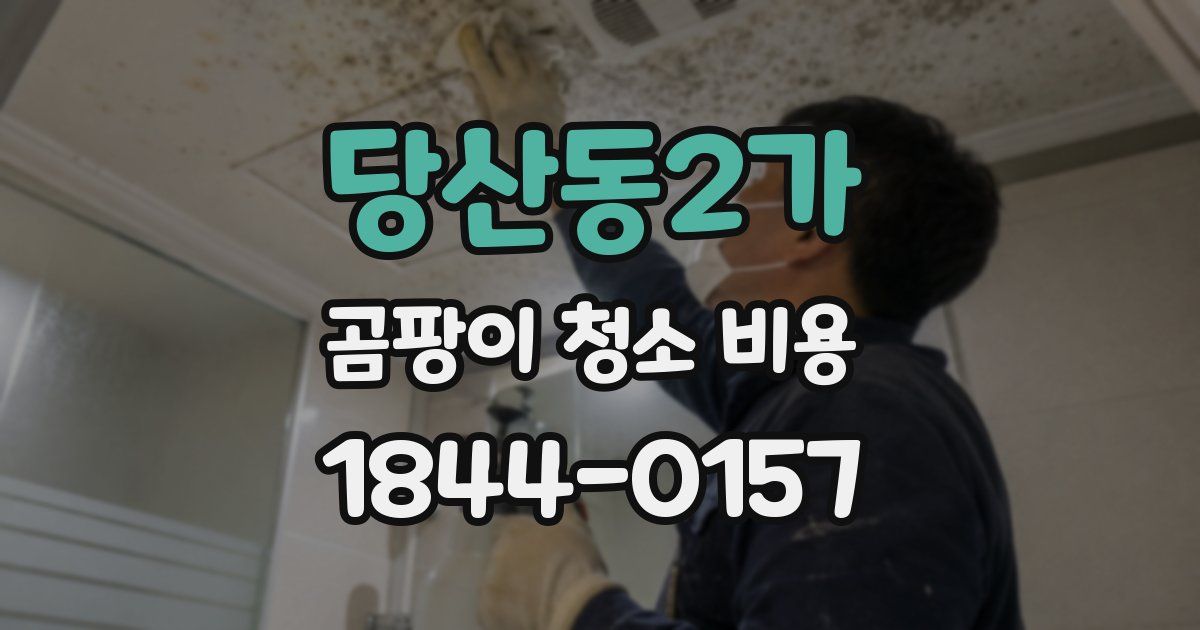 당산동2가 곰팡이 청소 비용