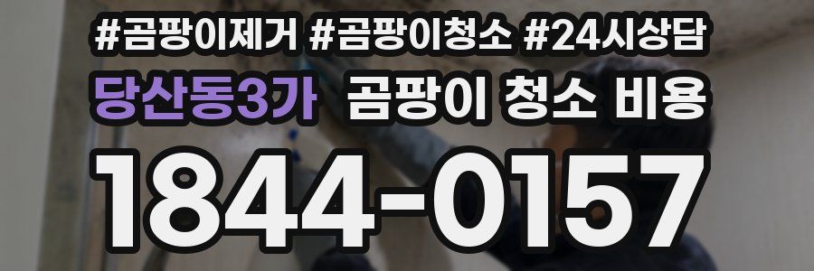 당산동3가 곰팡이 청소 비용