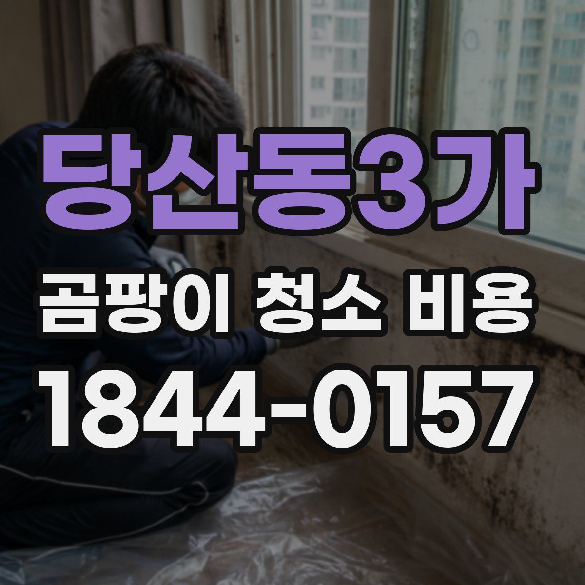 당산동3가 곰팡이 청소 비용