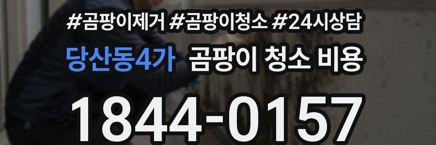 당산동4가 곰팡이 청소 비용
