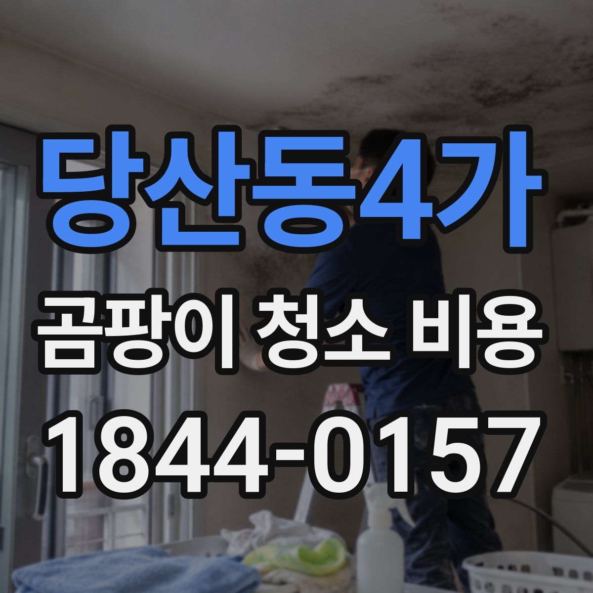 당산동4가 곰팡이 청소 비용