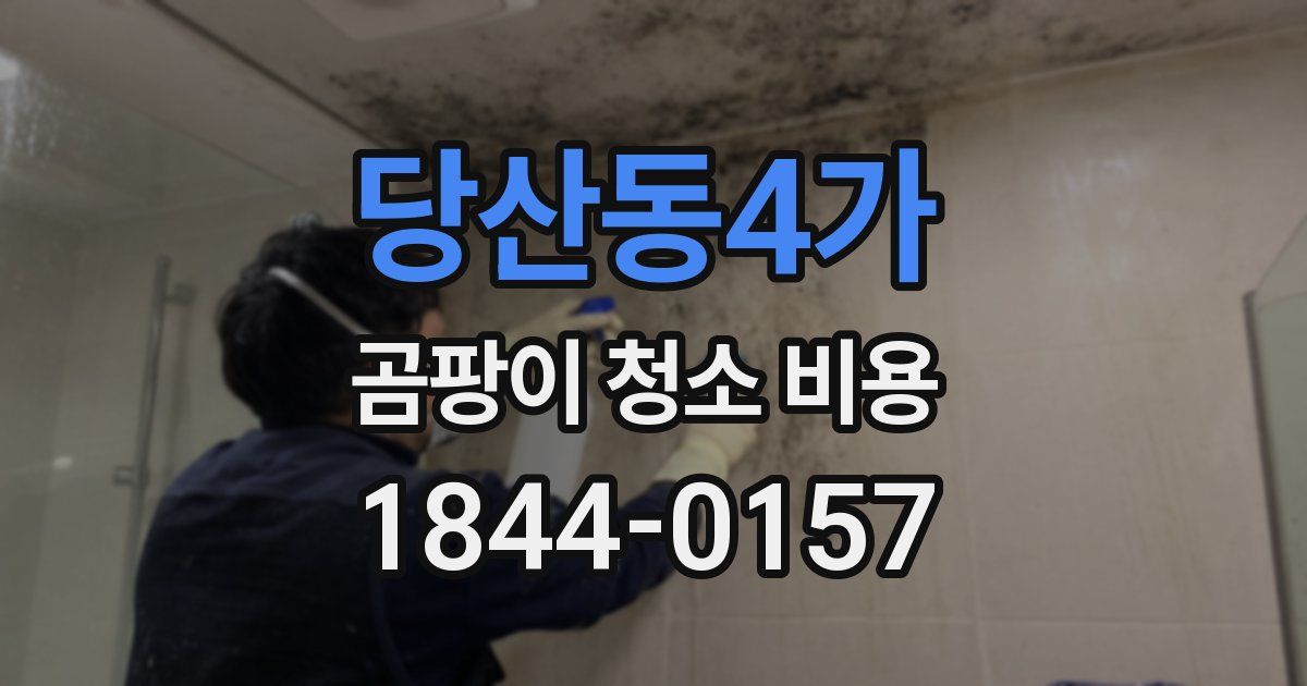 당산동4가 곰팡이 청소 비용