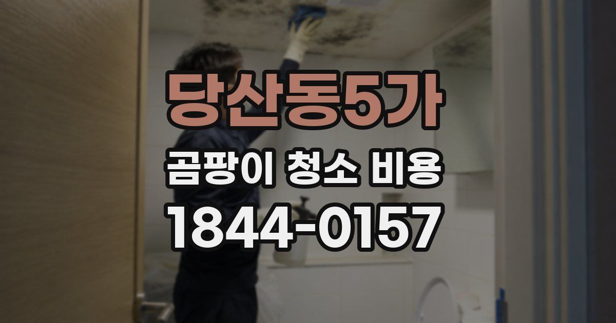 당산동5가 곰팡이 청소 비용