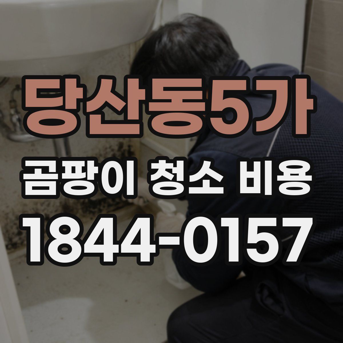 당산동5가 곰팡이 청소 비용