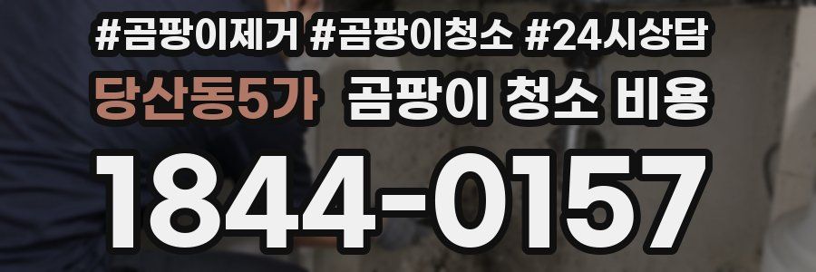 당산동5가 곰팡이 청소 비용