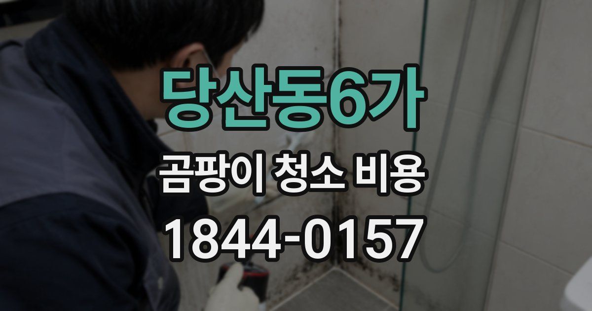 당산동6가 곰팡이 청소 비용