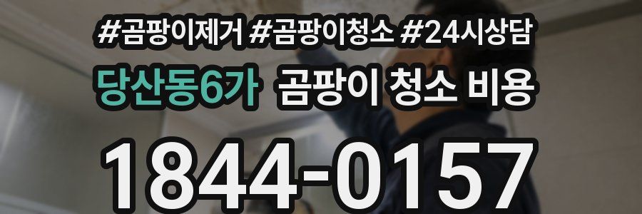 당산동6가 곰팡이 청소 비용