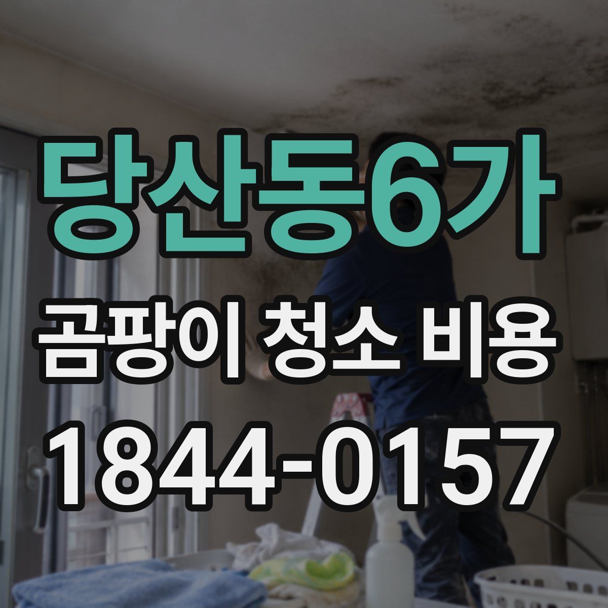 당산동6가 곰팡이 청소 비용