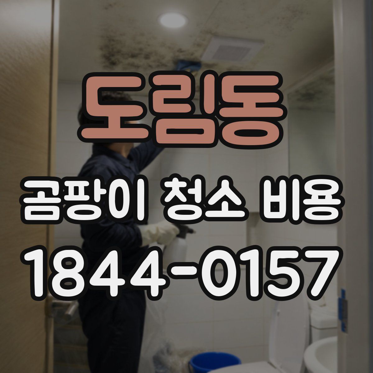 도림동 곰팡이 청소 비용