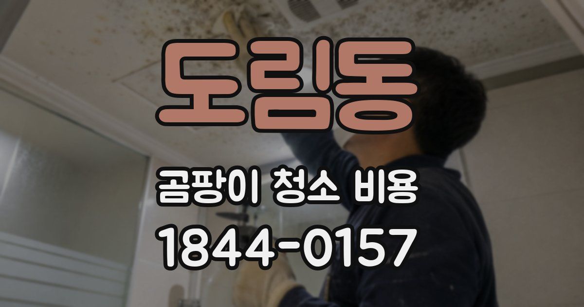 도림동 곰팡이 청소 비용