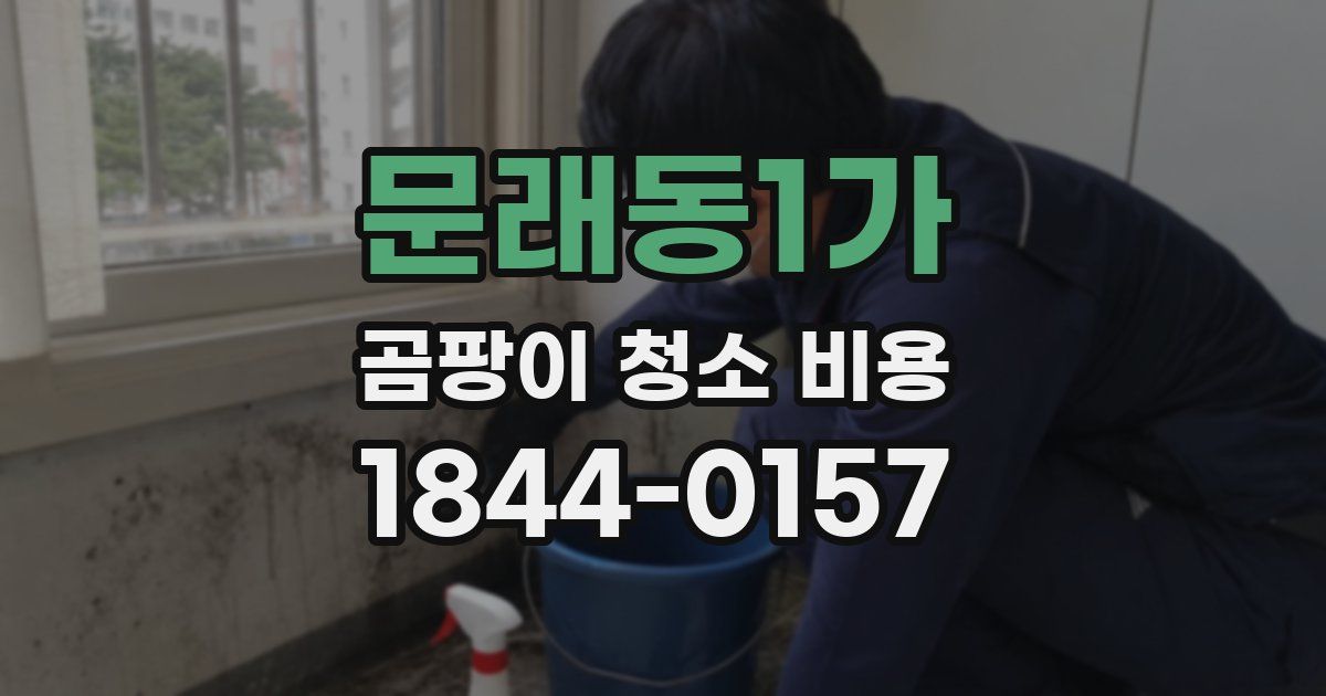 문래동1가 곰팡이 청소 비용