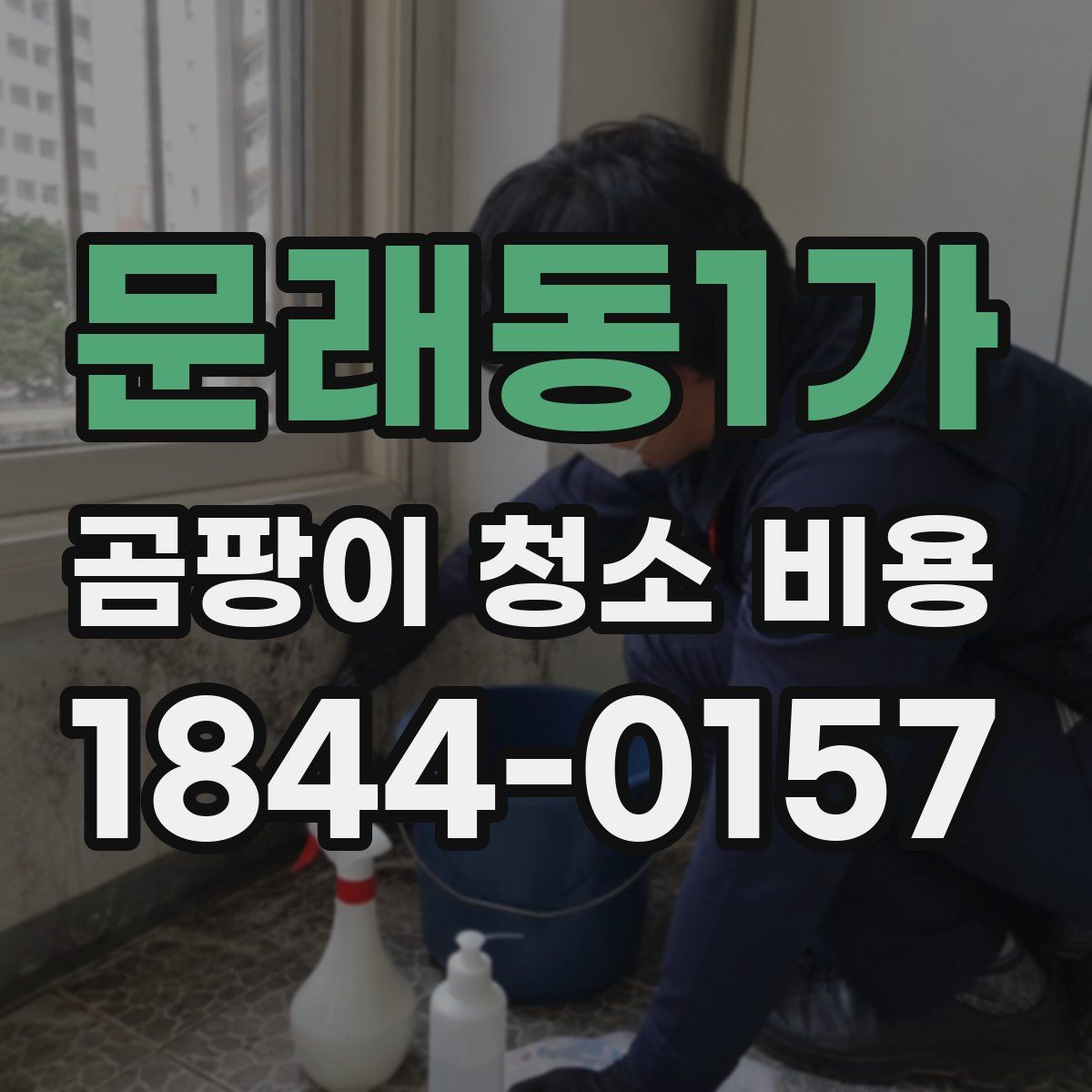 문래동1가 곰팡이 청소 비용