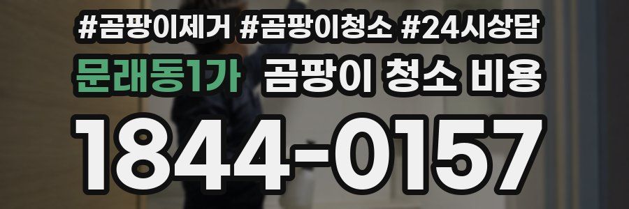 문래동1가 곰팡이 청소 비용