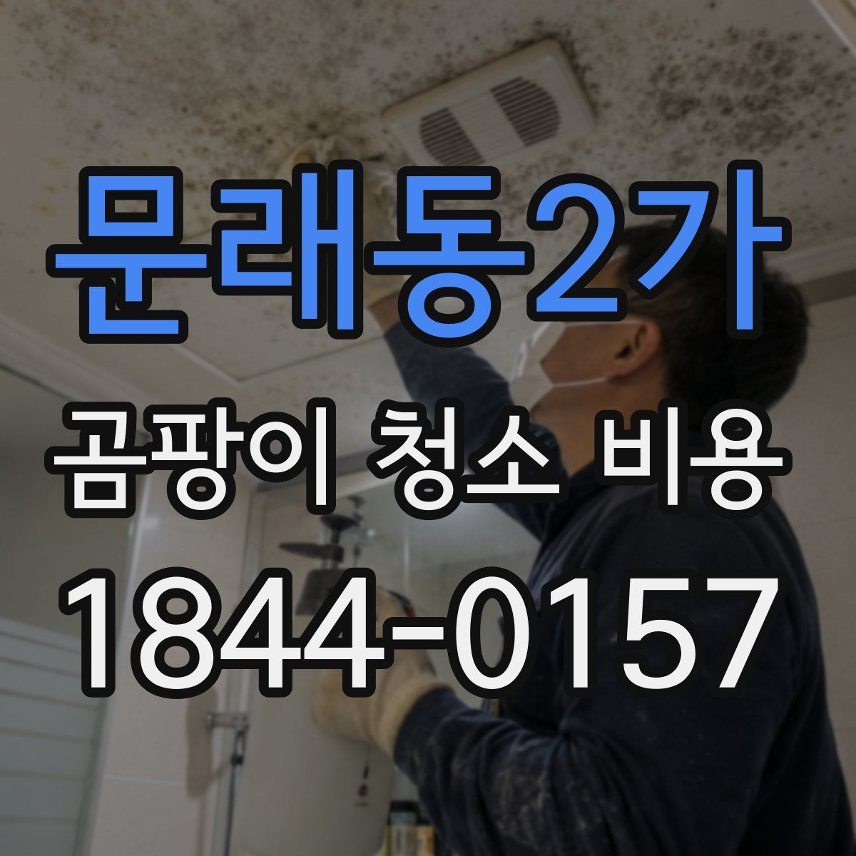 문래동2가 곰팡이 청소 비용