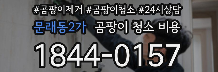 문래동2가 곰팡이 청소 비용