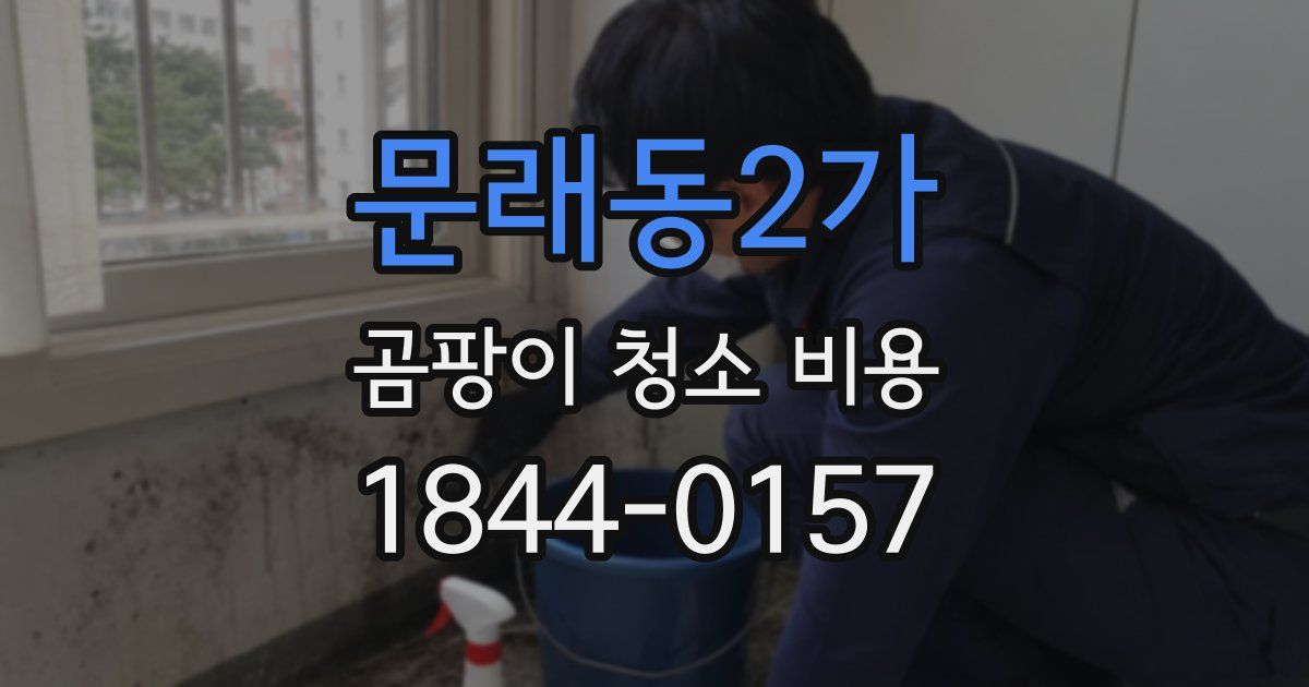 문래동2가 곰팡이 청소 비용