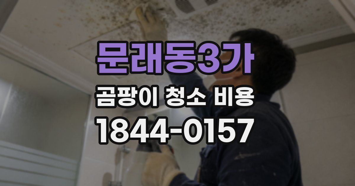 문래동3가 곰팡이 청소 비용