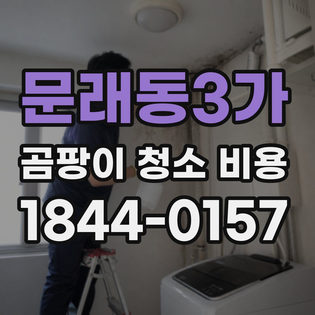 문래동3가 곰팡이 청소 비용