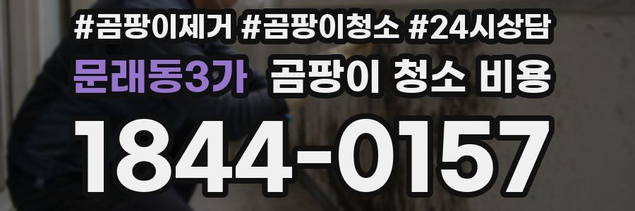 문래동3가 곰팡이 청소 비용