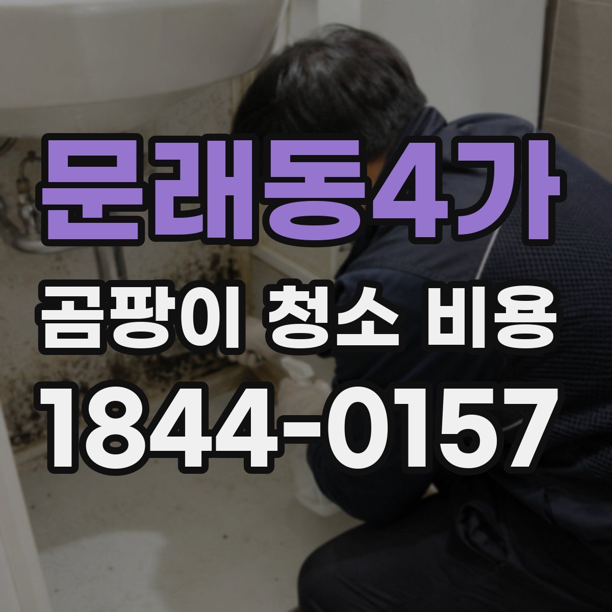 문래동4가 곰팡이 청소 비용