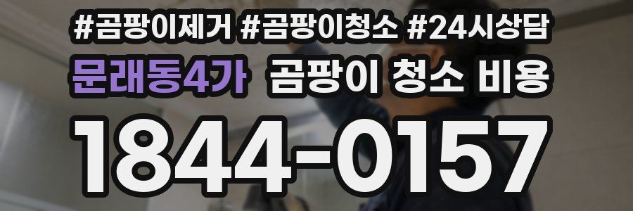문래동4가 곰팡이 청소 비용