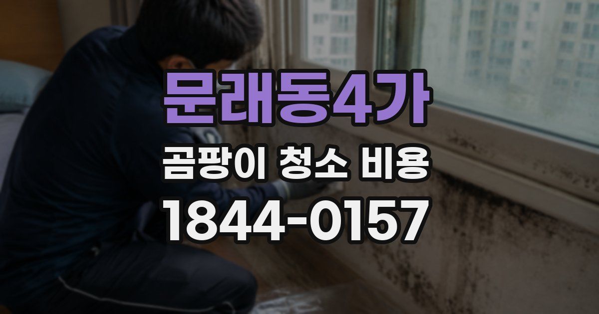 문래동4가 곰팡이 청소 비용
