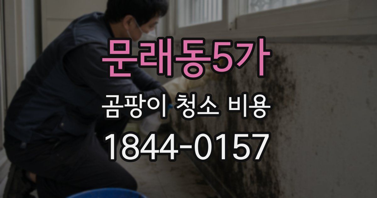 문래동5가 곰팡이 청소 비용