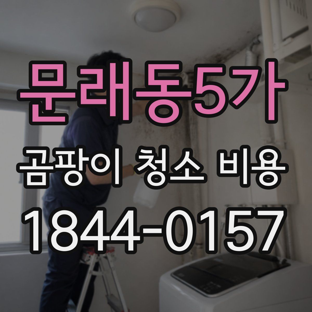 문래동5가 곰팡이 청소 비용